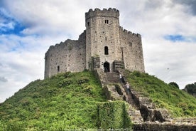 Benvenuti a Cardiff: tour privato a piedi di mezza giornata