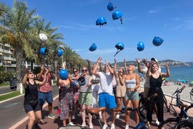 Small Group Guided E-bike Tour in Nice's Organic Vineyard