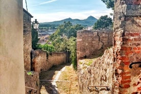  De Pádua: Tour à cidade murada de Monselice