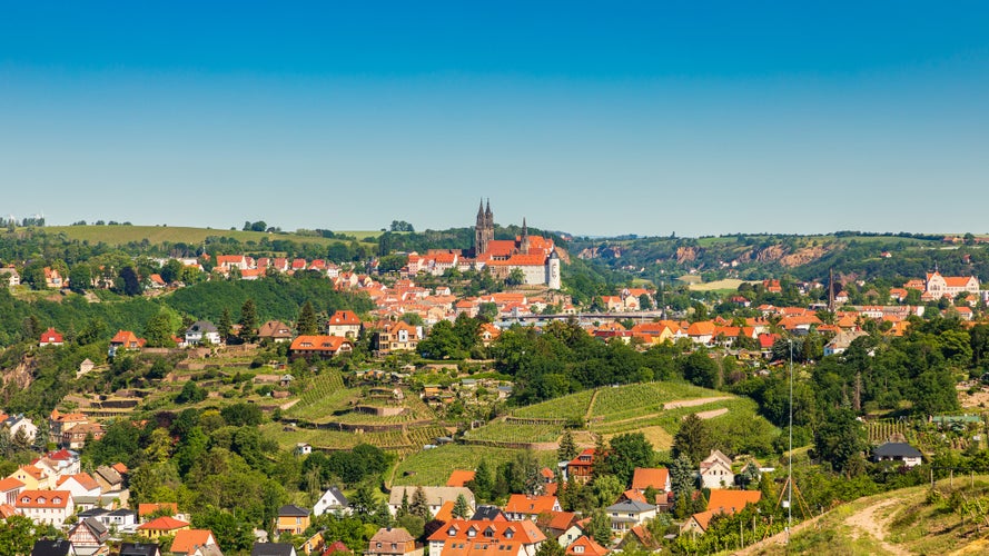 View of Meissen, saxony, with vine yard in summer