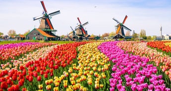 Springtime in Holland (port-to-port cruise) - DOUCE FRANCE