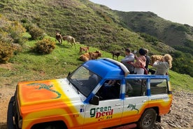 Shore Excursion Porto Moniz - 4x4-tour met betoverde terrassen