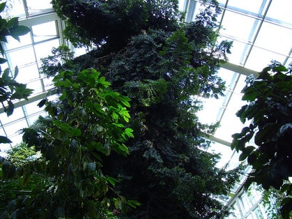 Palm house in Łódź in Poland.