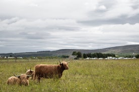 Tour privado de día completo a las Tierras Altas de Escocia y al lago Ness