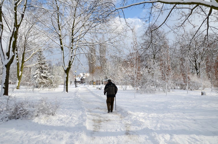 Snowy Park Chrobrego in Gliwice, Poland.