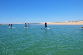 冲浪与晚餐