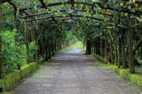 E-cykeltur i Sorrento med Limoncello-provning