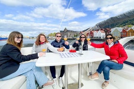 Abends private Kreuzfahrt in Bergen, Möglichkeit zum Schwimmen