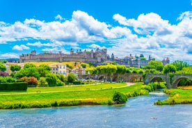 Photo of the Canal and Castle of Perpignan in springtime, Pyrenees-Orientales, France.