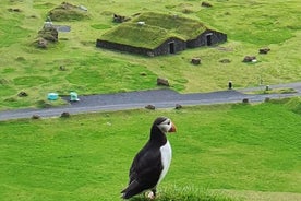 Lundaferð á Eyjascooter á Íslandi