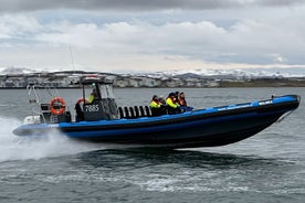 RIB RUSH - Aventura de barco RIB em Kopavogur, Islândia