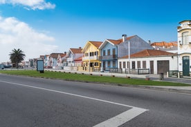 Aveiro - city in Portugal