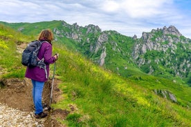 Viagem de um dia para grupos pequenos em Ciucas Mountains from Bucharest