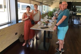 Visit Finca La Solana Madrid Romero with Wine Tasting