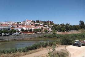 Algarve com degustação de vinho em duas propriedades vinícolas e almoço na cidade histórica de Silves