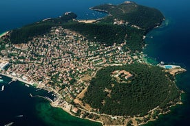 Daily Private Princes' Island Tour in Istanbul