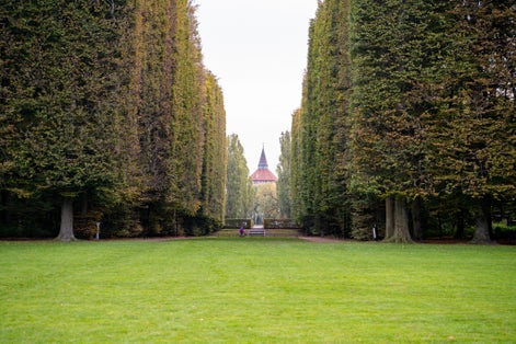 Park in the city during autumn with big trees