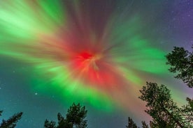 Upplifðu stórfenglegar norðurljósin Kiruna-Abisko & Kjóti kvöldverð