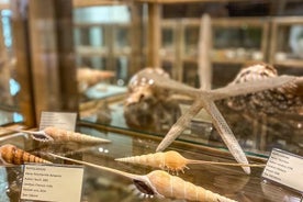 Visita guiada privada al Museo de las Conchas