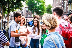 Tour di un'intera giornata ad Amsterdam: a piedi, in bicicletta e in crociera con pranzo tipico olandese