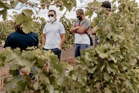 Kanarisk vinoplevelse på Bodega los Lirios