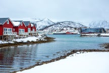 Stokmarknes medium car rental