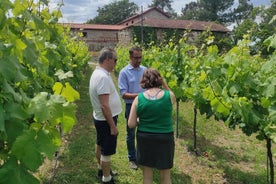 Vinho Verde 2 vingårder + Guimarães - fra Porto