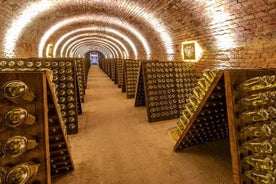 Schlumberger Sparkling Wine Cellar World -pääsylippu Wienissä