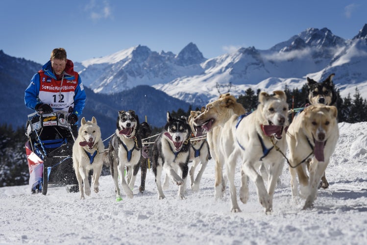 the GRANDE ODYSSEE the hardest mushers race in savoie Mont-Blanc.jpg