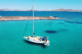 Tout compris Mykonos : Plage de Delos et Rhenia jusqu'à 12 personnes sans trans