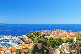 Excursión por la costa de Cannes: Recorrido privado de la Riviera Francesa