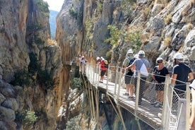 Privat tur i Caminito del Rey fra Costa del Sol