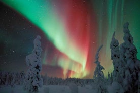 Polar Night Snowshoe Trek