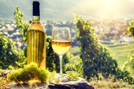 Excursión al vino de Alsacia de día completo desde Colmar