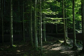 Kotkanpesä-Berchtesgaden-Obersalzberg yksityinen puolen päivän toisen maailmansodan historiallinen kierros