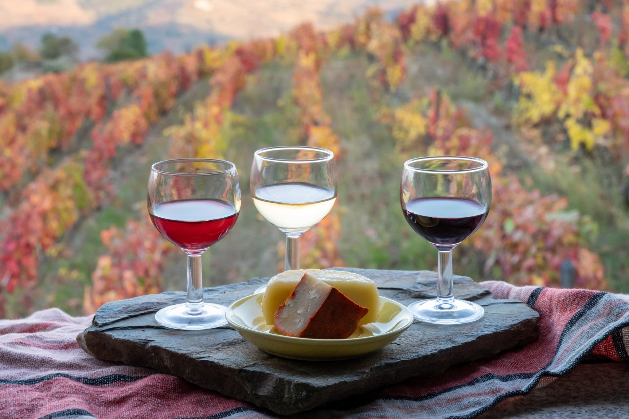 wine tasting in Douro valley in September.jpg