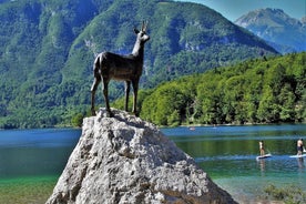 Alperna, Triglav NP med sjön Bohinj & vattenfall Savica, HD-resa från Ljub