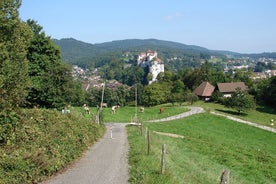 11-daagse Private Lite Tour door Zwitserland per fiets vanuit Genève