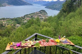 Bellagio: Exclusive Picnic at the Agrofarm with Scenic View