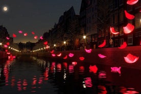 Crociera Festival delle luci di Amsterdam