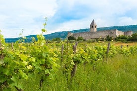 Castelli e tour del vino