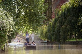 Tour guidato condiviso di punting di Cambridge