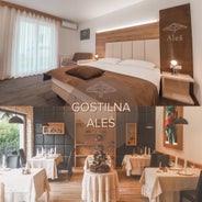 Guesthouse Aleš