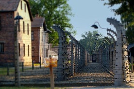 Biglietto d'ingresso al tour della guida dal vivo di Auschwitz e Birkenau