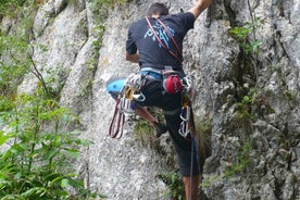 BV05-Private Hiking Tour and Bear Watching: Piatra Craiului