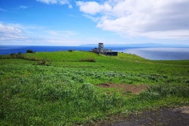 Tour privado de día completo a Faial: el poder de la tierra