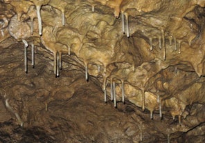 Brestovská cave