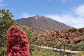 Masca - Garachico - Icod - Nationalpark Teide