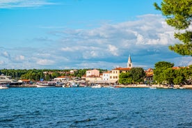 Photo of aerial view of the town of Fazana, Croatia.