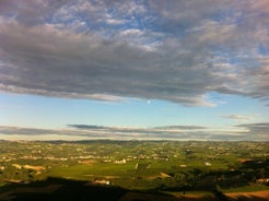 La Vigna Del Parroco